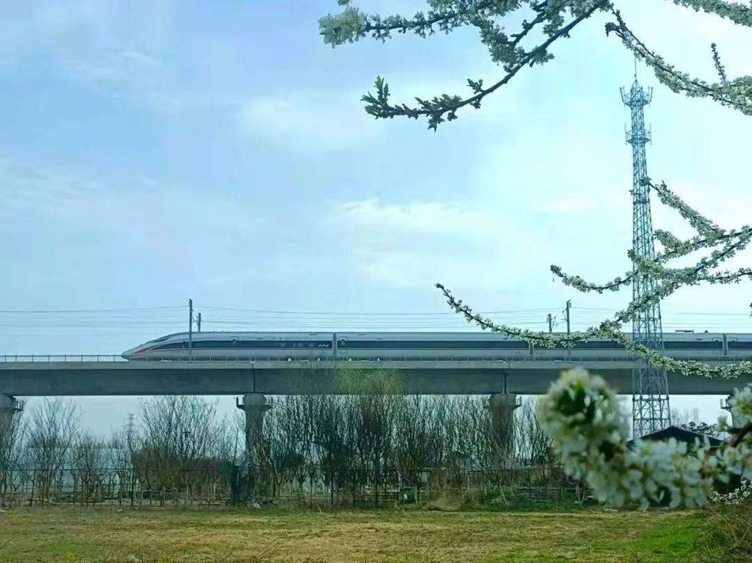 申高云杭州货运中心 宁波北货场 梁力合福高铁旁匡河美景 任新志潘集