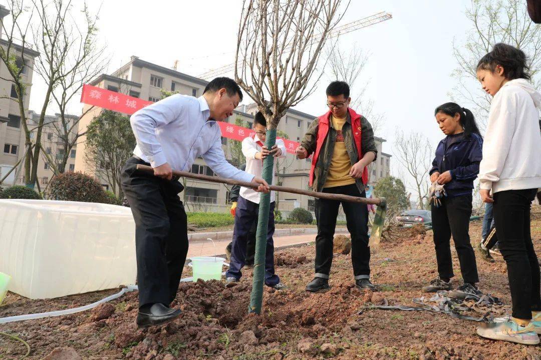 共青林 | 榮昌區開展春季義務植樹活動_高洪波_生態_綠化