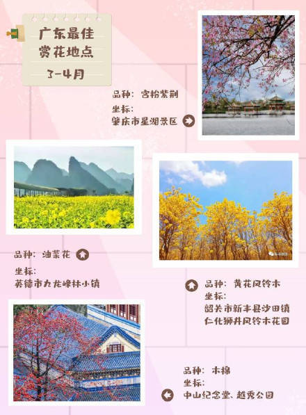 广东|怎样打卡广东春季花海？收好这份时间表