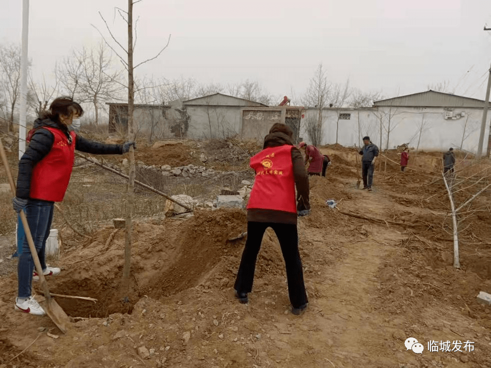 在全国第44个植树节来临之前,3月11日,临城镇北街,东台,中驾廻,东泥河