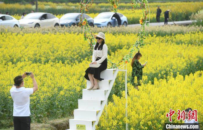 菜花|重庆菜花节：村民舞龙迎客 市民赏花踏青