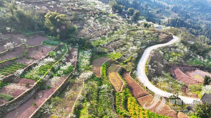 江津区杜市镇太公山图片