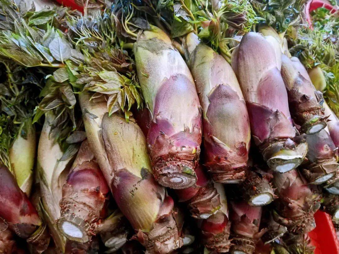 乔木树枝顶端的芽菜,其形状酷似即将开放的花苞,又因为刺老包酷似香椿