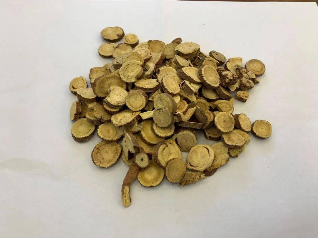 桂枝的功效不包括下列哪项?