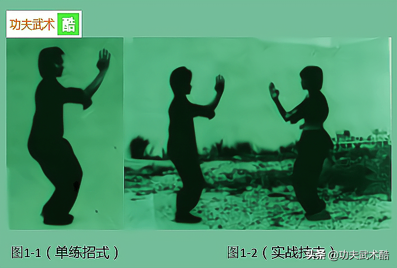 童子拜佛"功夫武术酷"整理了一套蔡李佛拳之蛇形拳的技击实战格斗招式
