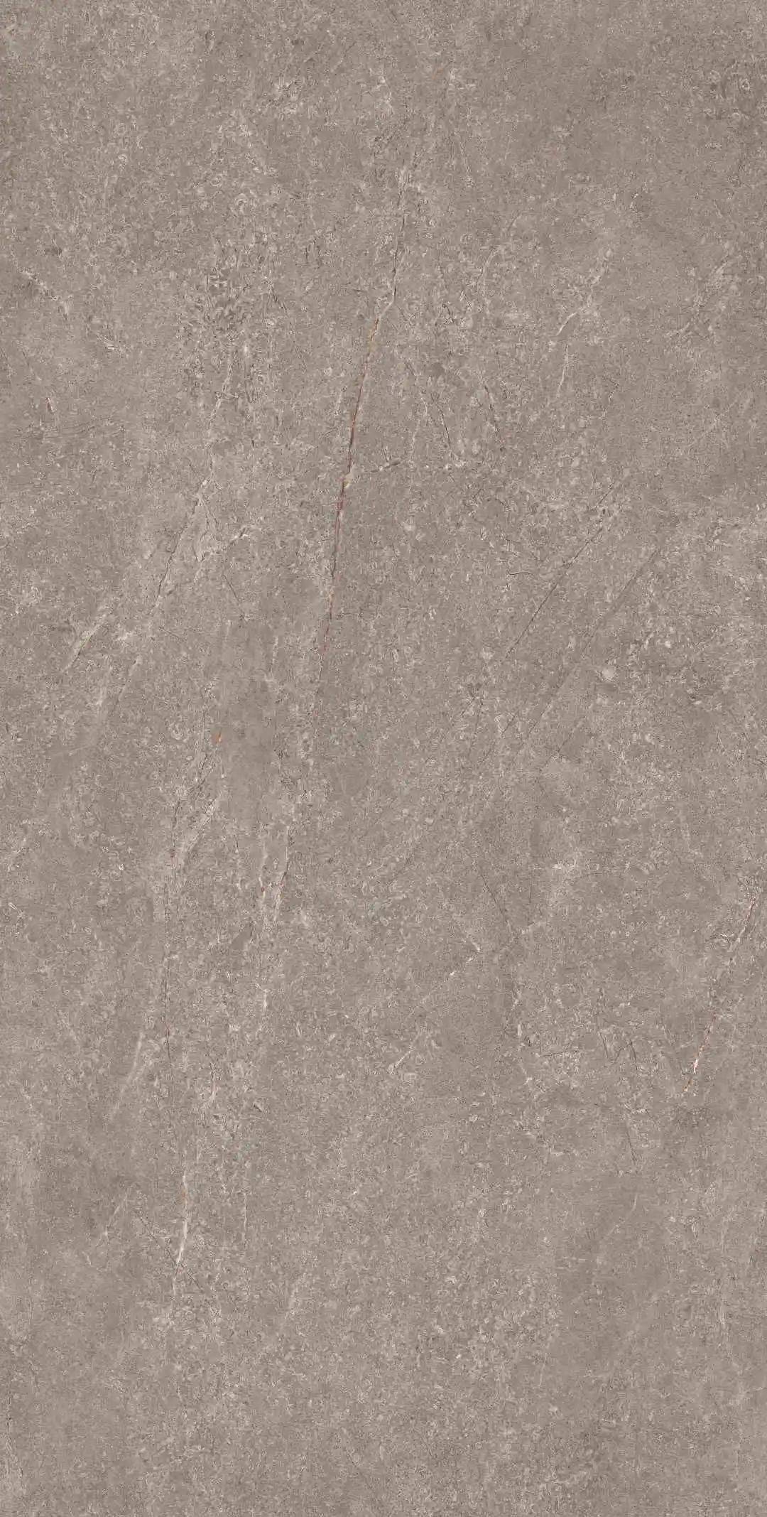 新品预告∣石色性也金舵瓷砖2022春季新品强劲来袭