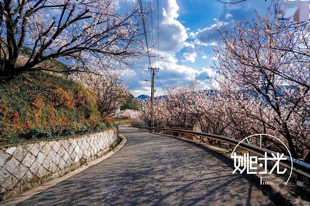 這座被櫻桃花包圍的懸崖小山村,美翻了_巖村_四明山_江南遊