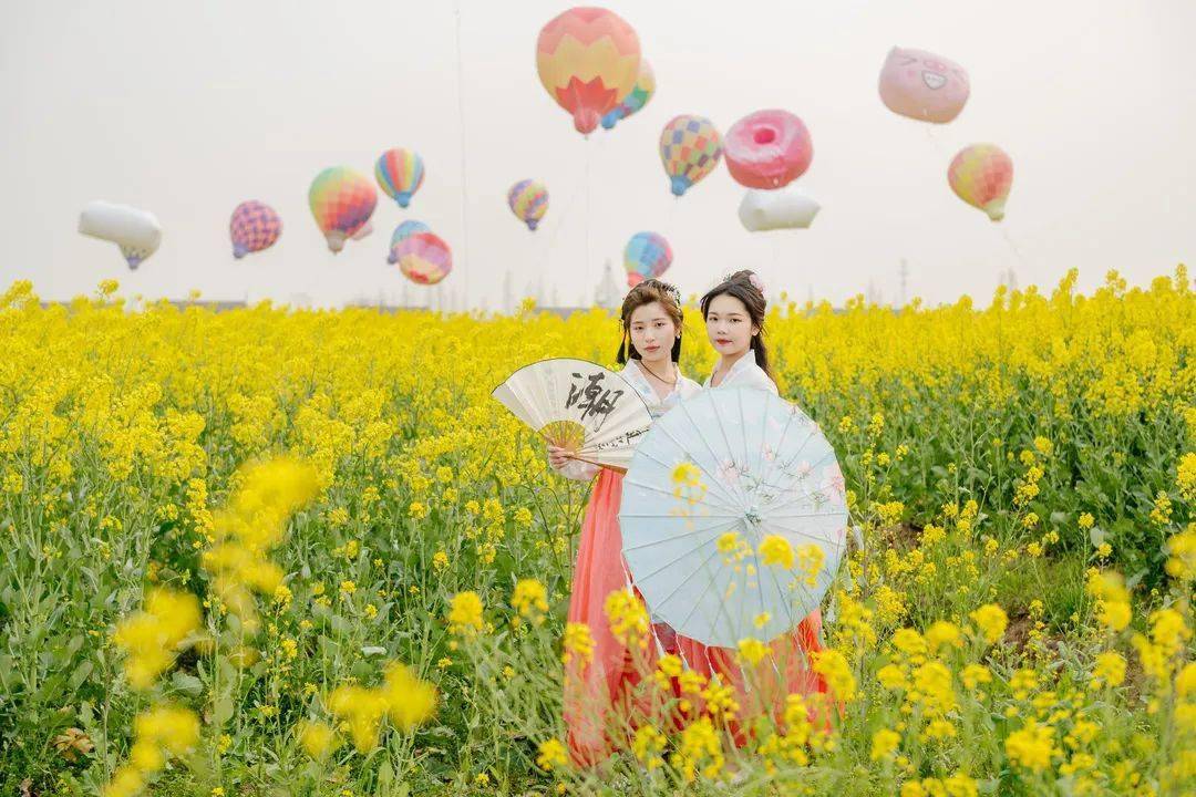 永安油菜花艺术节图片