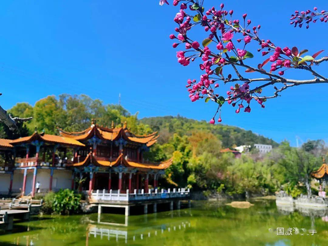 "跟随春日的脚步,云南省楚雄彝族自治州楚雄市峨碌公园
