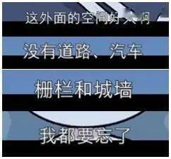 动画|连续3年入围安妮奖，这部小众宝藏动画还有谁没看过？