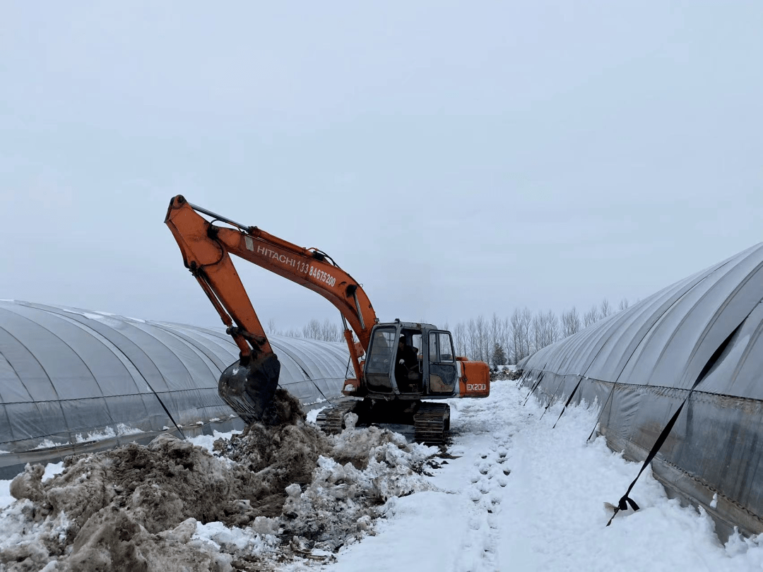 不停的方式,全力推进大棚基地棚间沟疏通作业,有效保证春季雪化时大棚