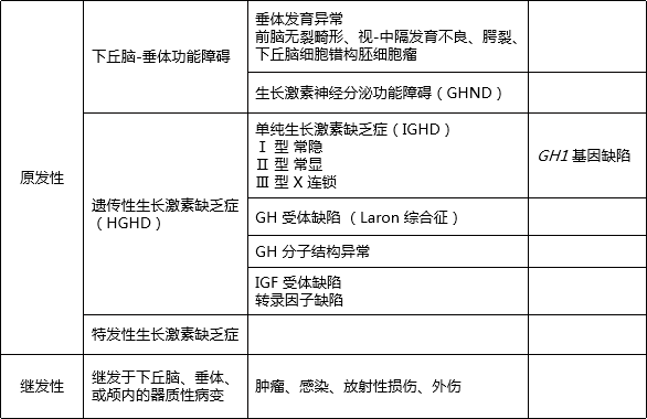 脑垂体分泌生长激素图片