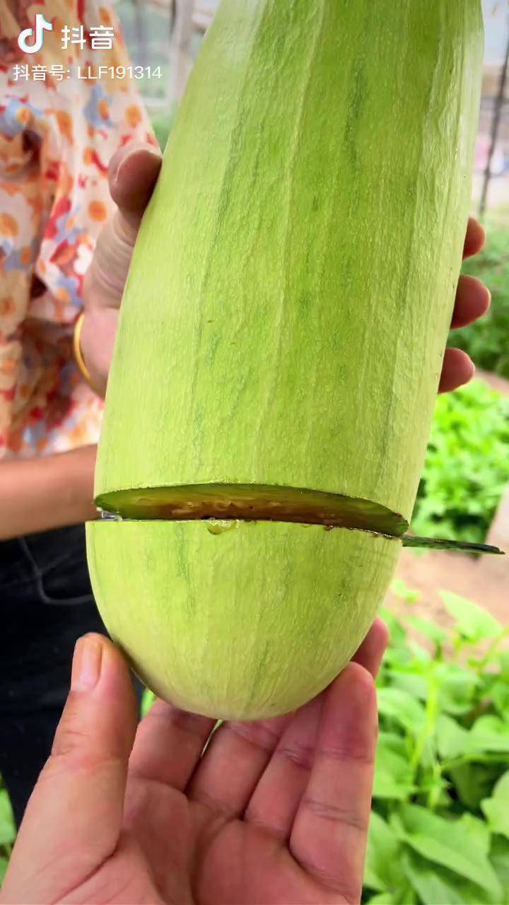 砍瓜能砍着吃的原因