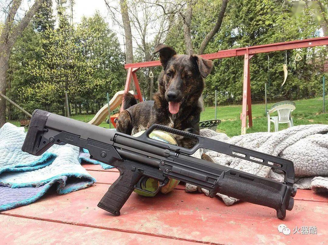 暴力大叔keltec公司ks7霰弹枪图集