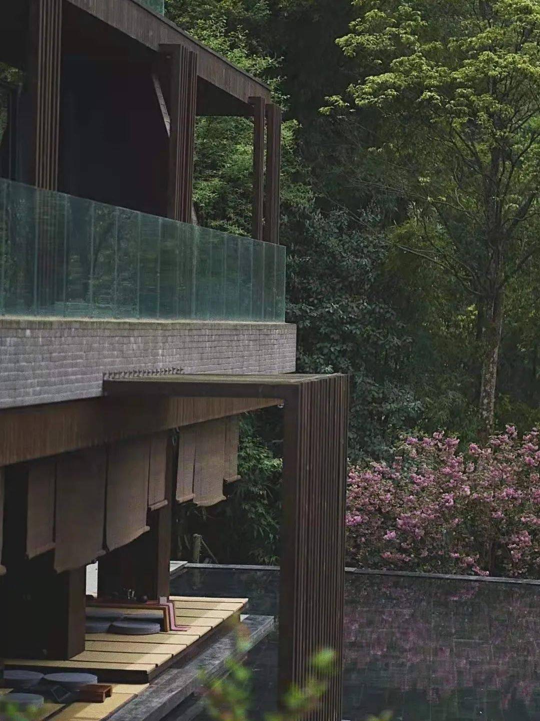 青城坐忘森林酒店愈身愈心愈灵一场隐世之旅一段疗愈之忆