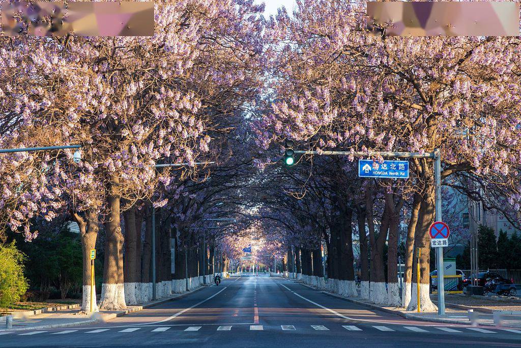 最美风景在路上春天就要一起走花路