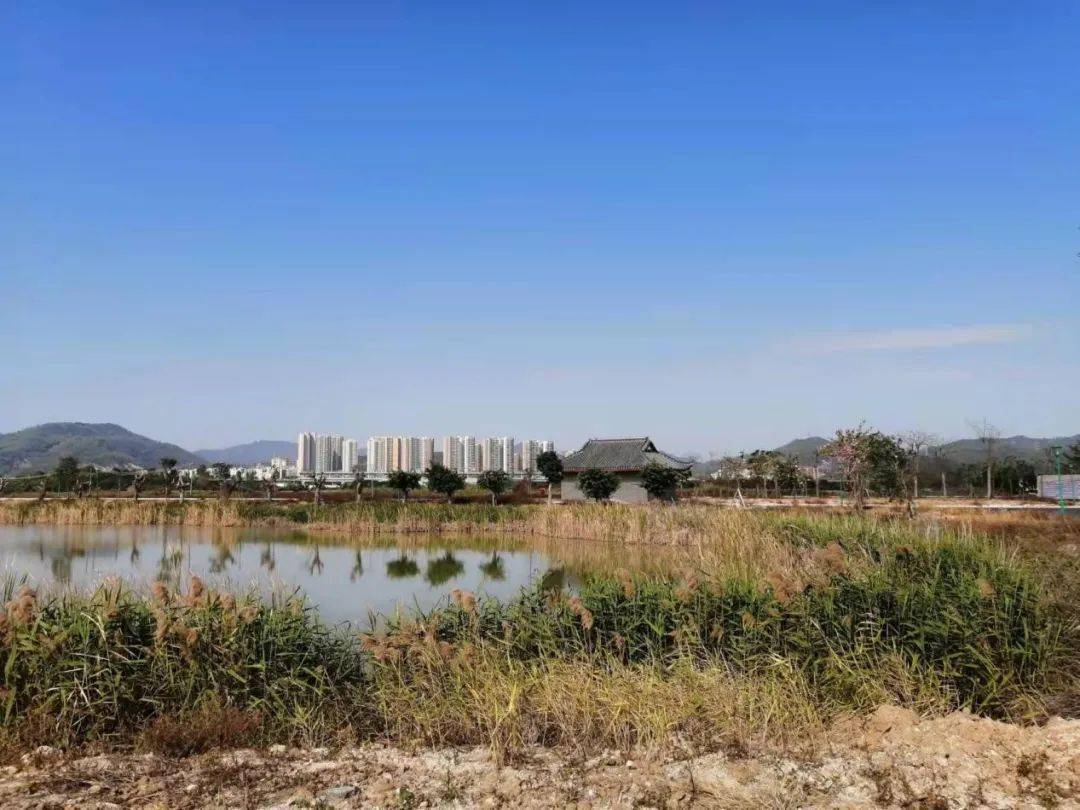 崖口省级湿地公园面积1085.