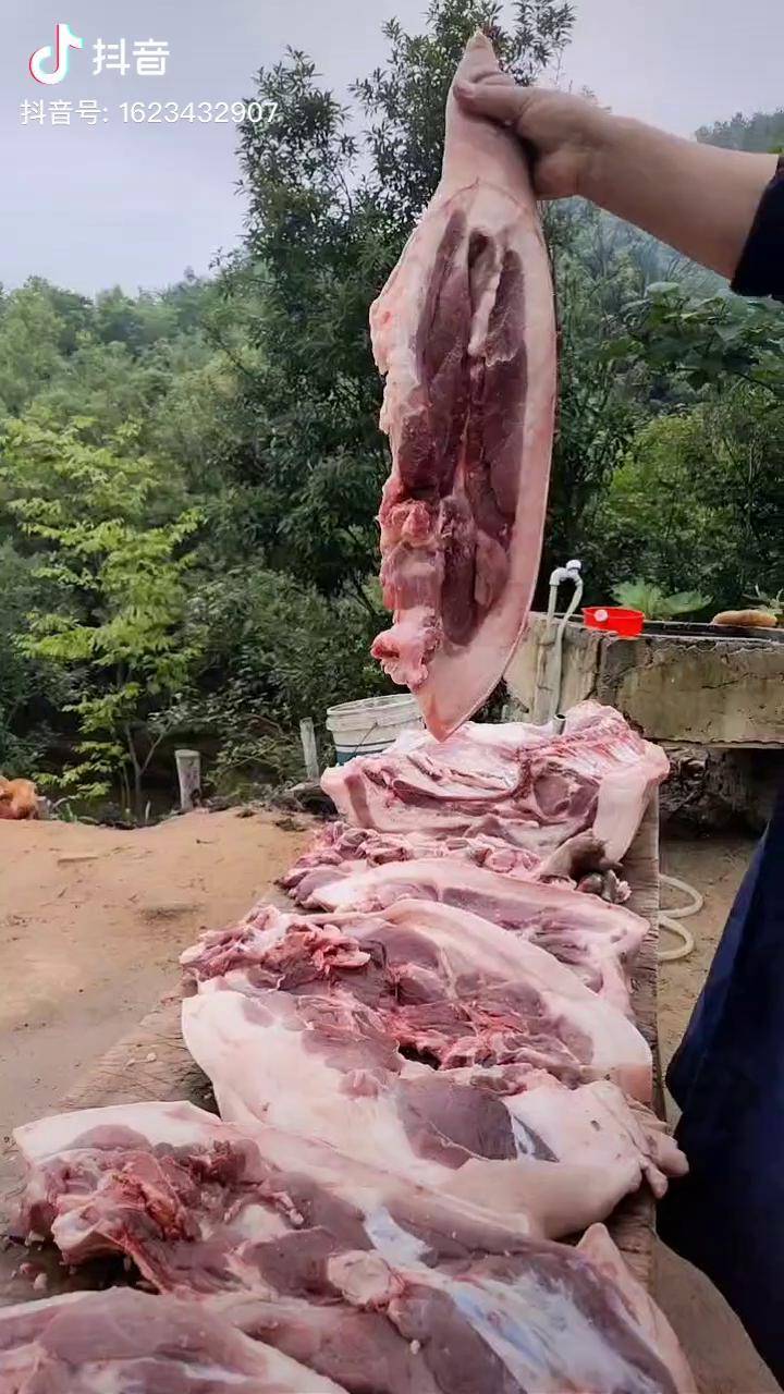 大别山金寨生态黑毛猪肉山里的土猪肉皮糙肉厚肥而不腻肉色鲜红下锅