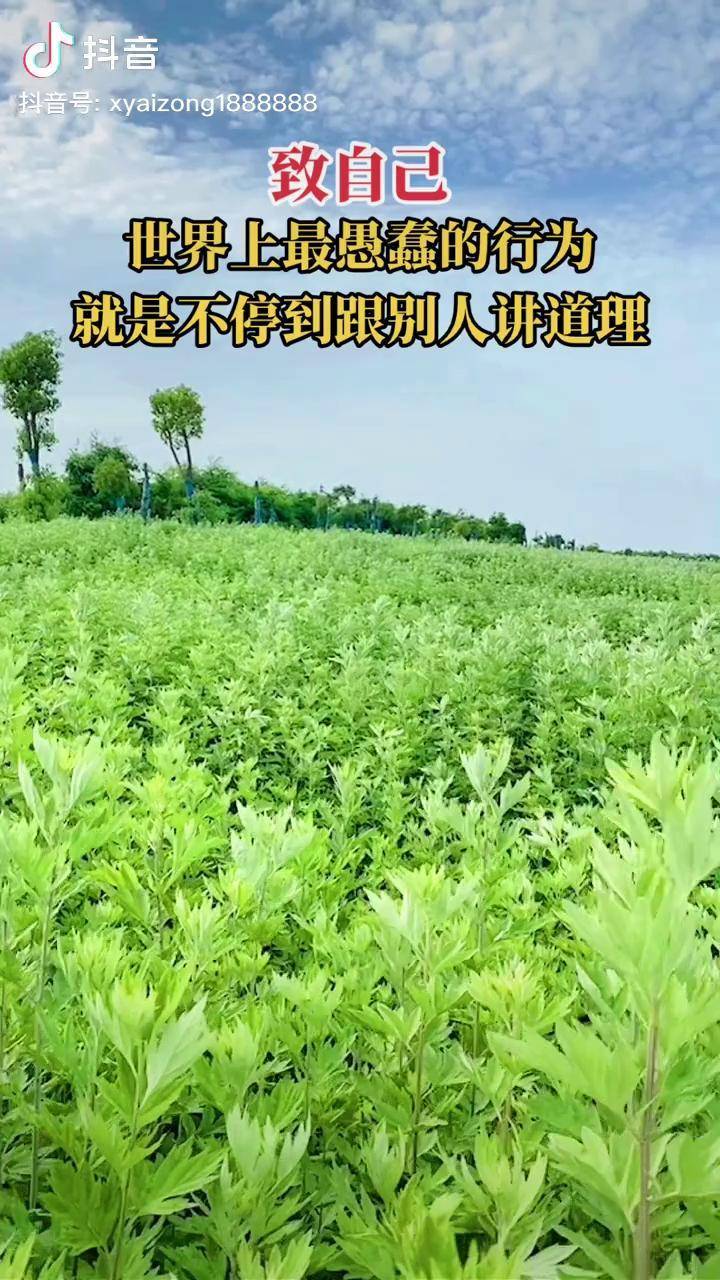 创作灵感永远记住位置不同少言为贵认知不同不争不