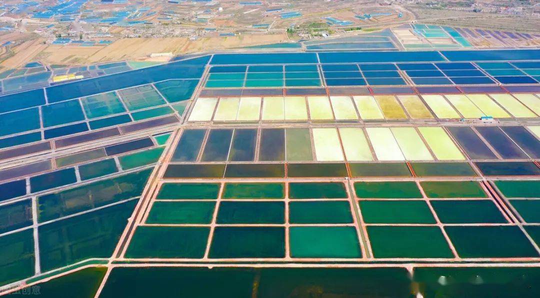 连云港,盐城,南通,淮安的淮盐人付出很多_盐场_淮北_徐圩