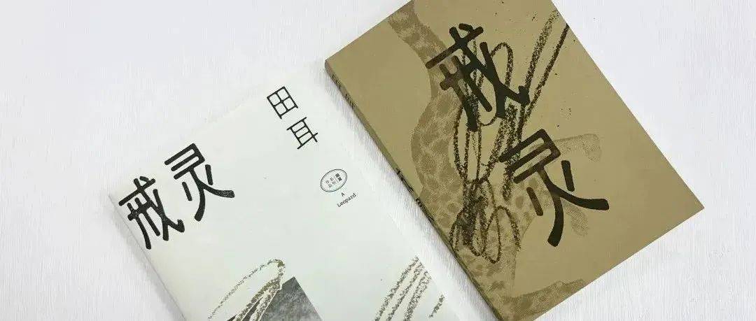 好书·新书 | 令人潸然动容的湘西:“凤凰之子”田耳经典小说集《戒灵》新书来了!_山脉_人类_崽子