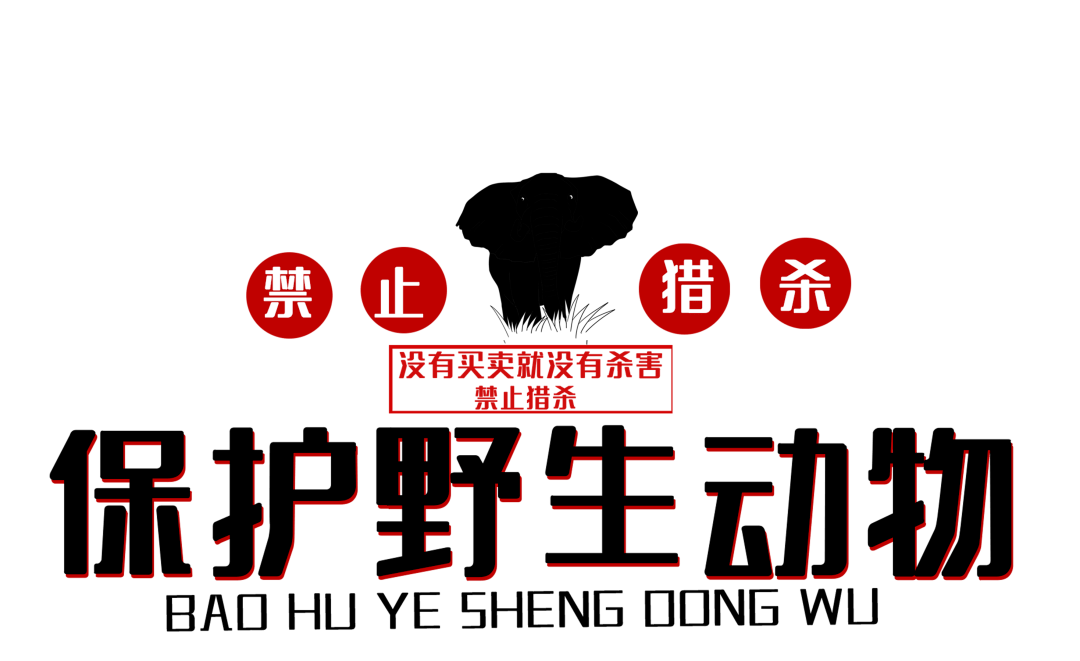 非法狩猎钟祥2男子被抓获
