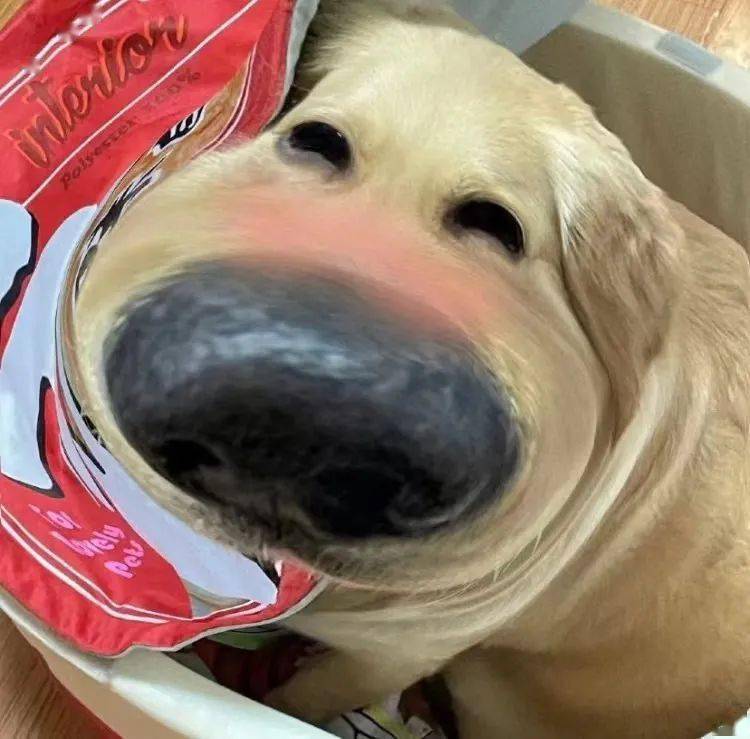 头像今日份好看的微信沙雕头像