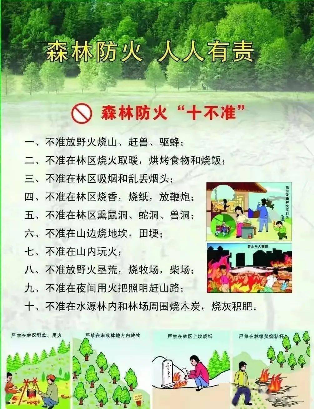 安全宣传森林防火人人有责临朐中学幼儿园森林防火安全知识宣传