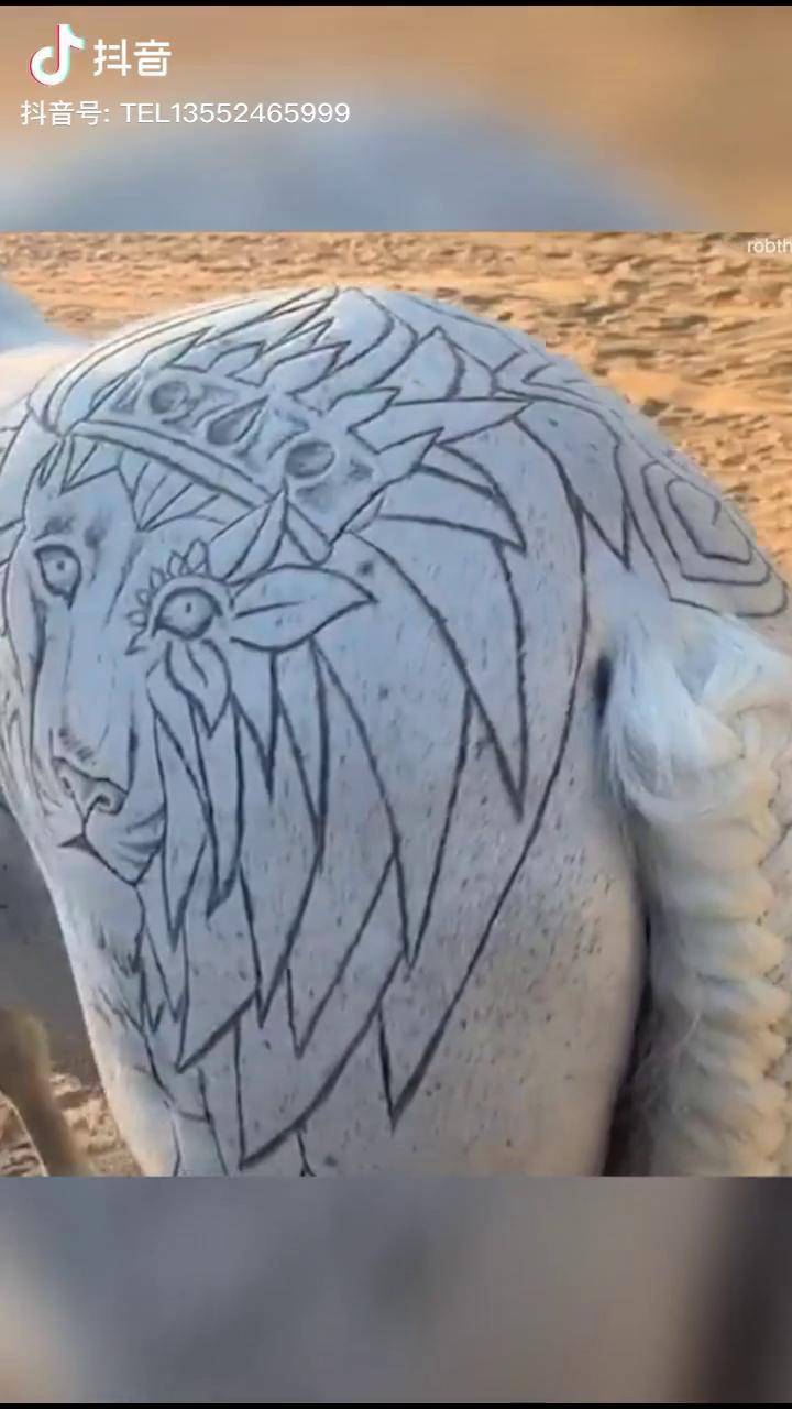 这马豪横啊纹身手稿搞笑视频爆笑