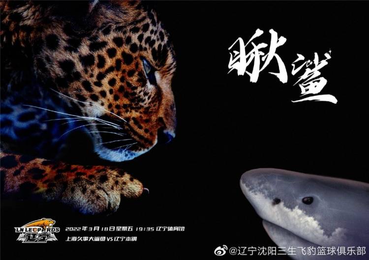 海报|辽宁男篮发布对阵上海队的预热海报：瞅鲨