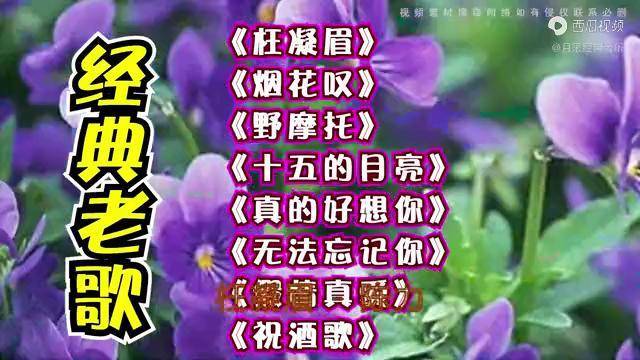 枉凝眉烟花叹野摩托十五的月亮真的好想你