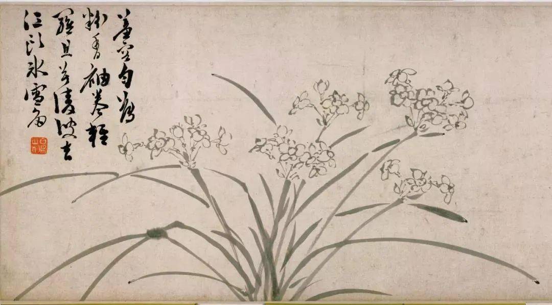 水仙陈淳 书画图明 周天球 水仙明 周天球 水仙汪士慎 湖石水仙图佚名