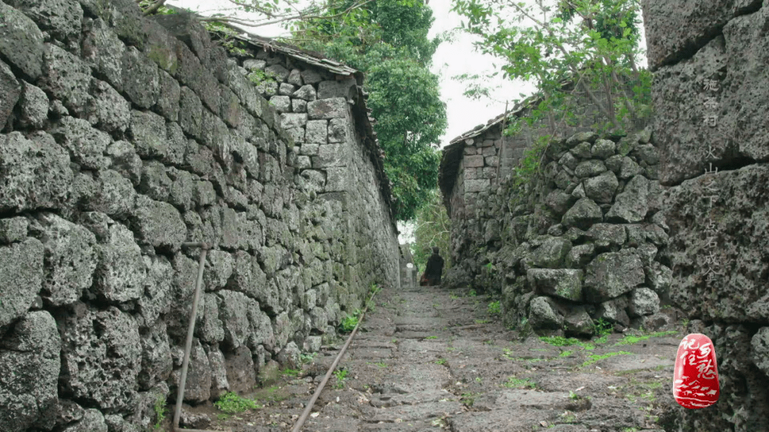 火山之下点石成金央视记住乡愁栏目带你走进海口施茶村
