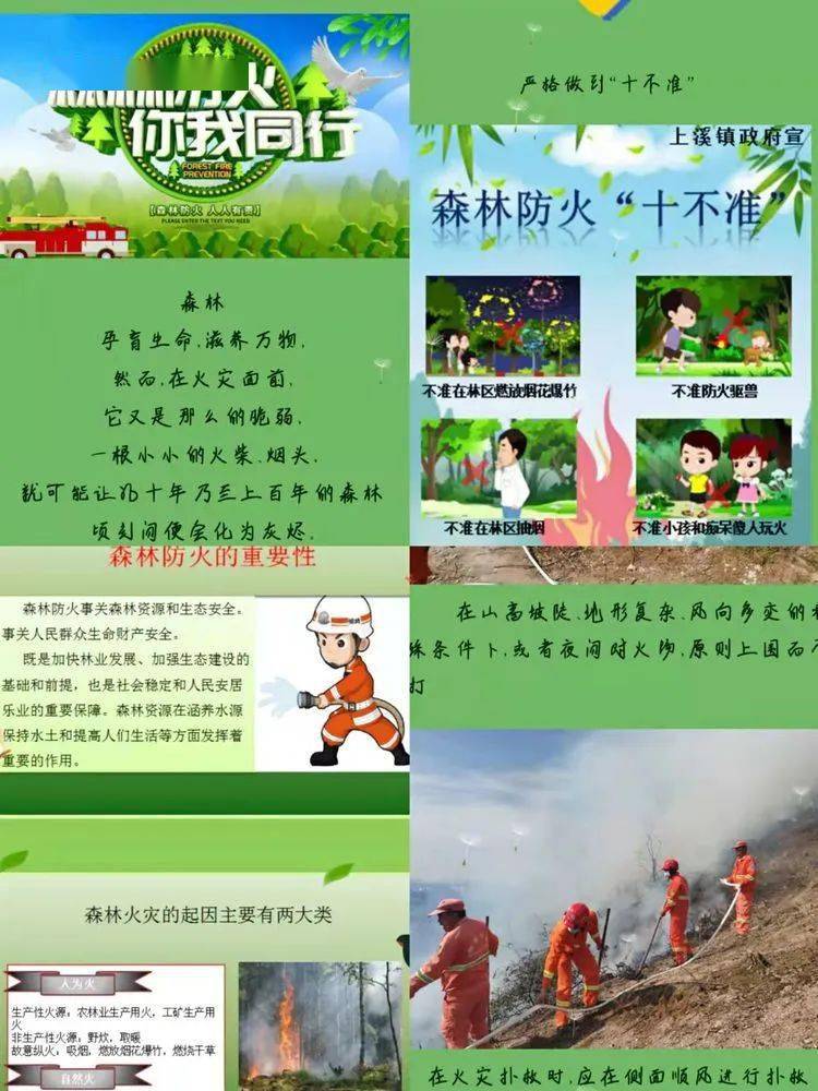 319森林消防宣传日图片