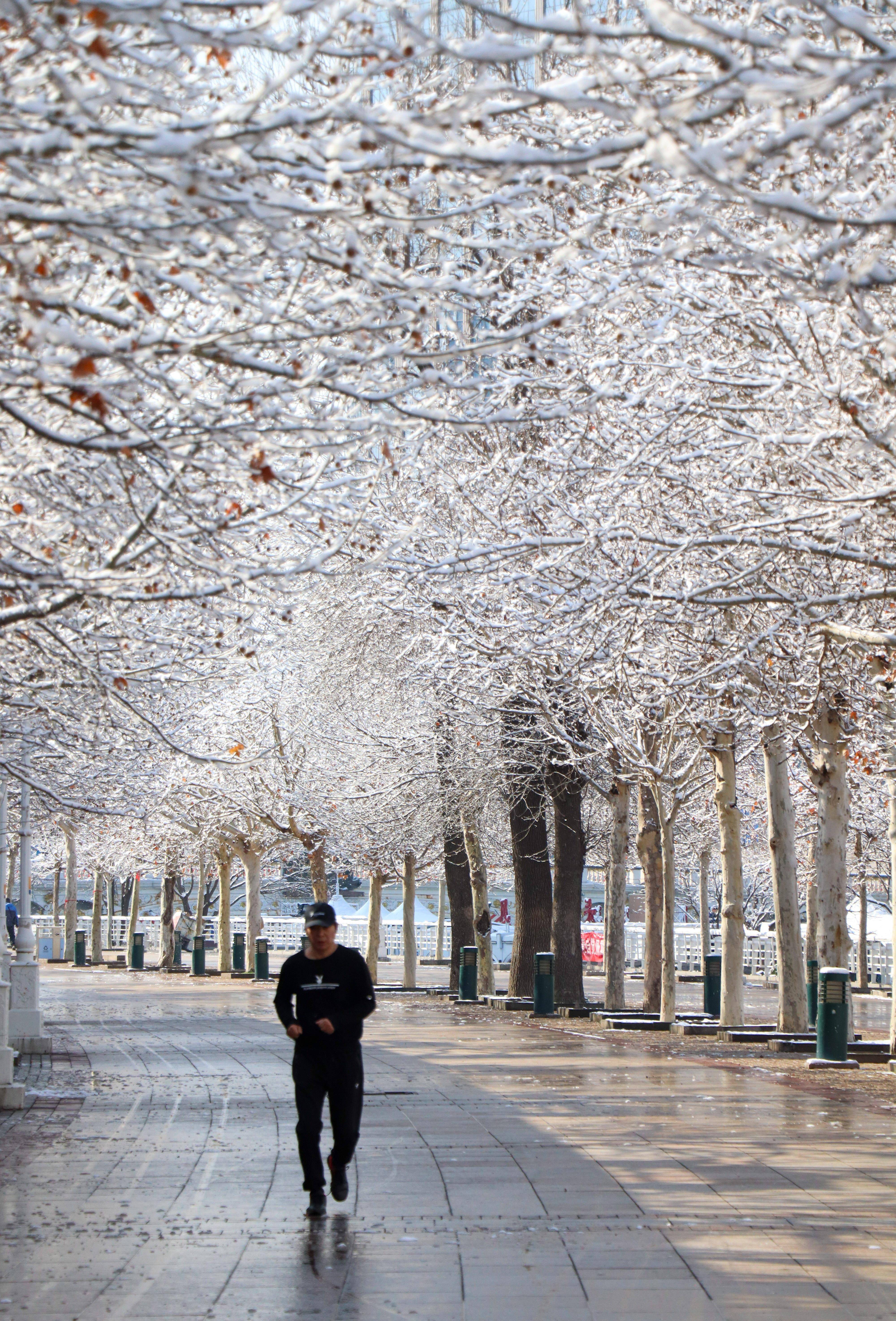 天津雪景美图图片