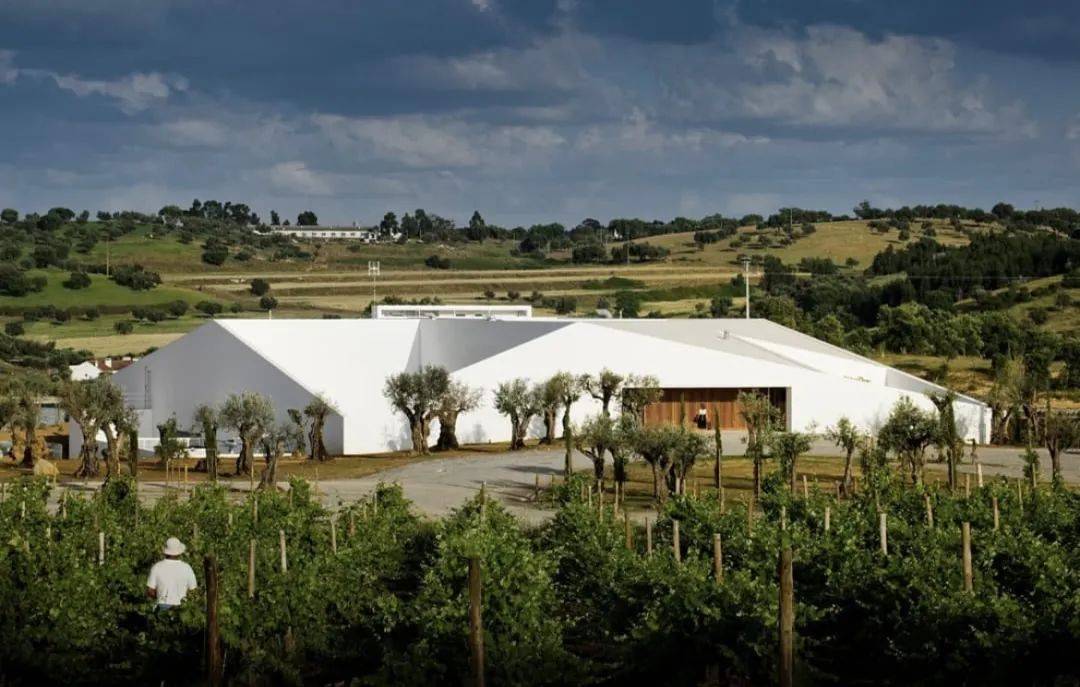 什么|拥有一座葡萄酒庄什么感觉?这十家酒店带你体验