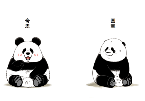 漫画书丨超级无敌萌的熊猫治愈漫画你是胖我是萌泪点与笑点并存熊生也