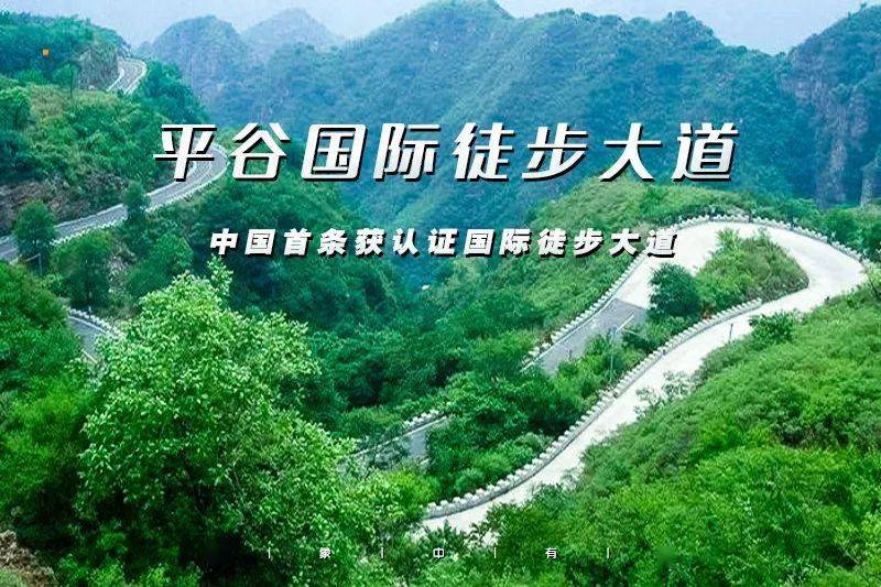 踏春の中国红杏第一村北寨村赏杏花平谷国际徒步大道10公里赏山花烂漫