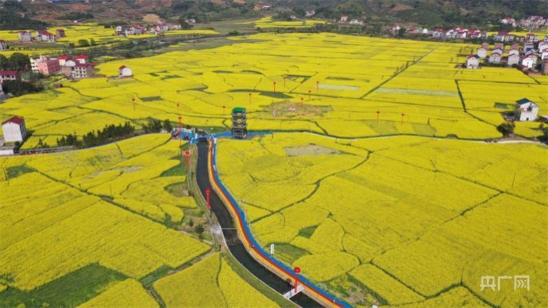 冯志华|漫步春光里 遇见“莲小花”体验“微旅游＂