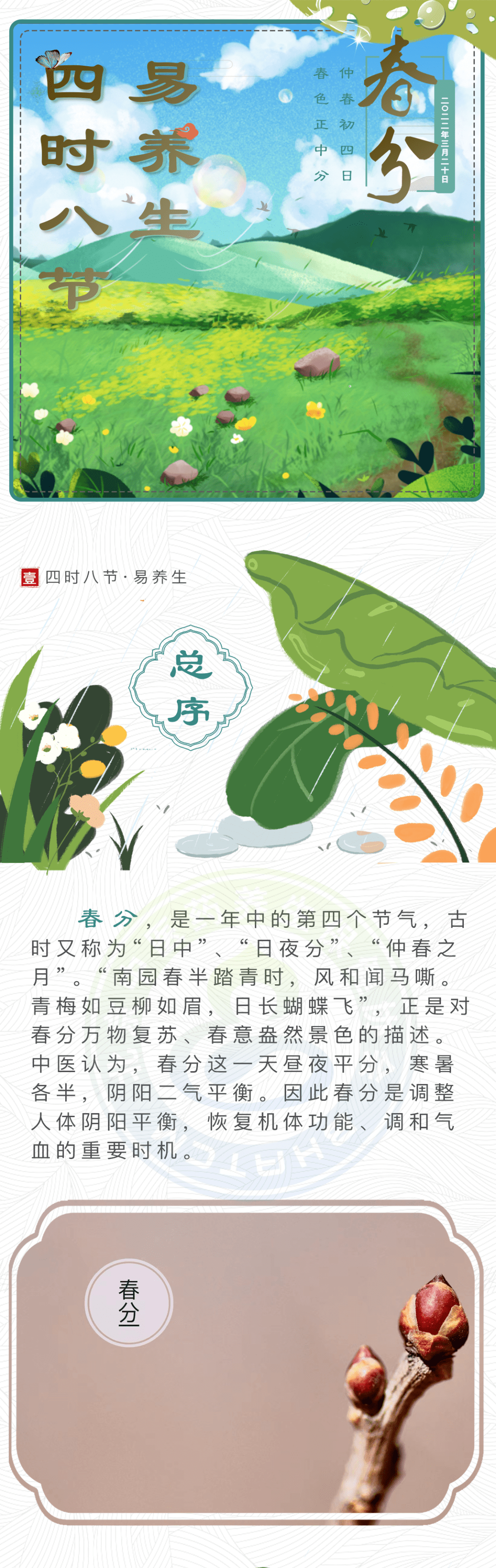 四时八节易养生今日春分养生侧重这几点抓住调和气血的重要时机