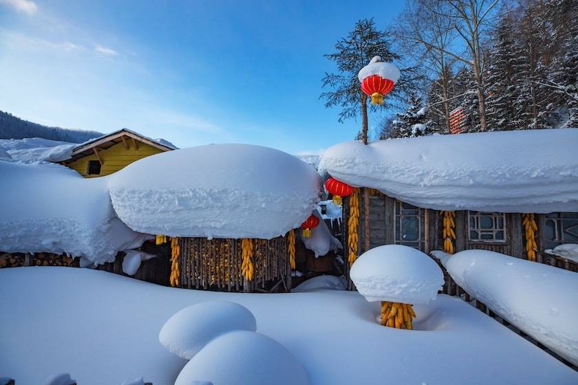 庞淼|张张都是壁纸！看摄影师眼中的冰雪龙江