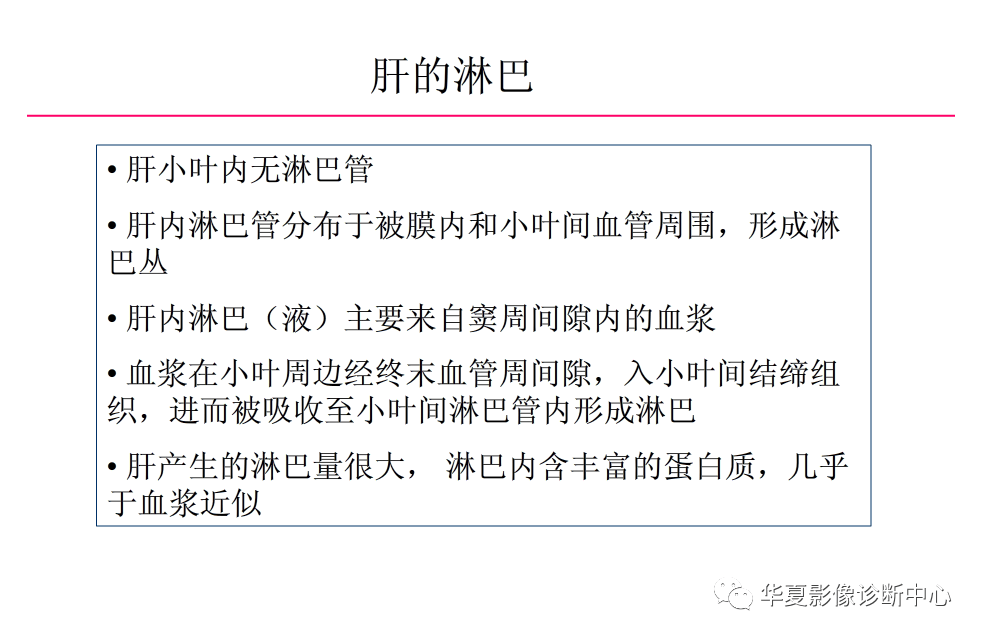 解剖|肝脏影像学与系统解剖