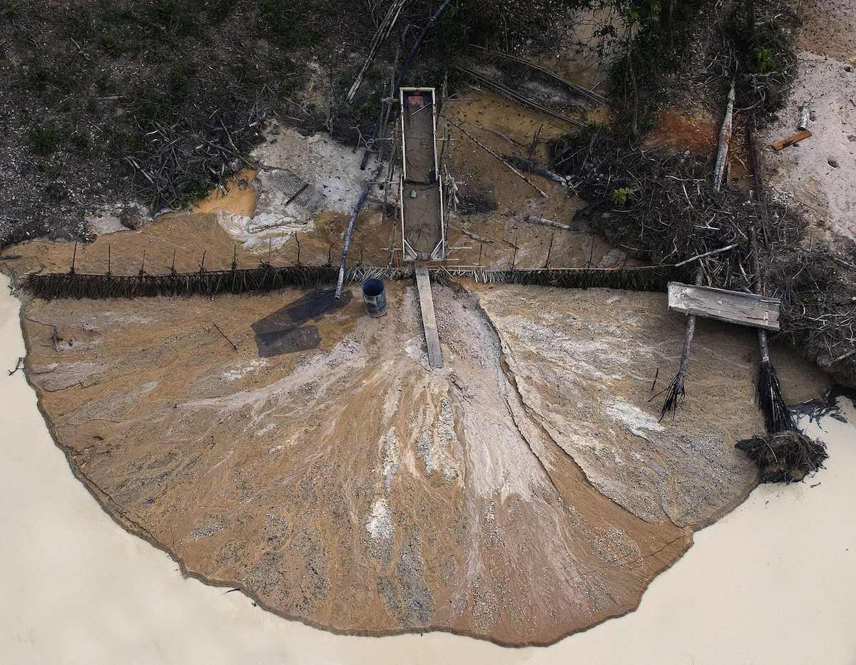 世界森林日②地球的警告森林正被严重破坏