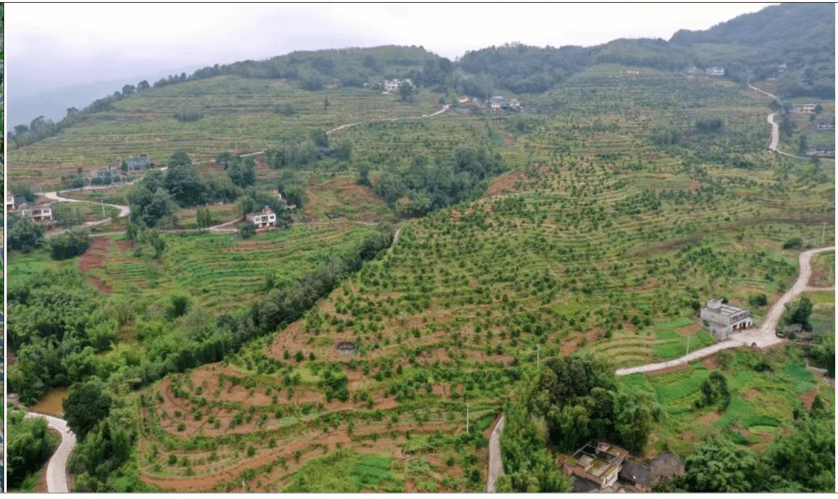 受益一方带动一片赤水旺隆镇以工代赈谋项目发展