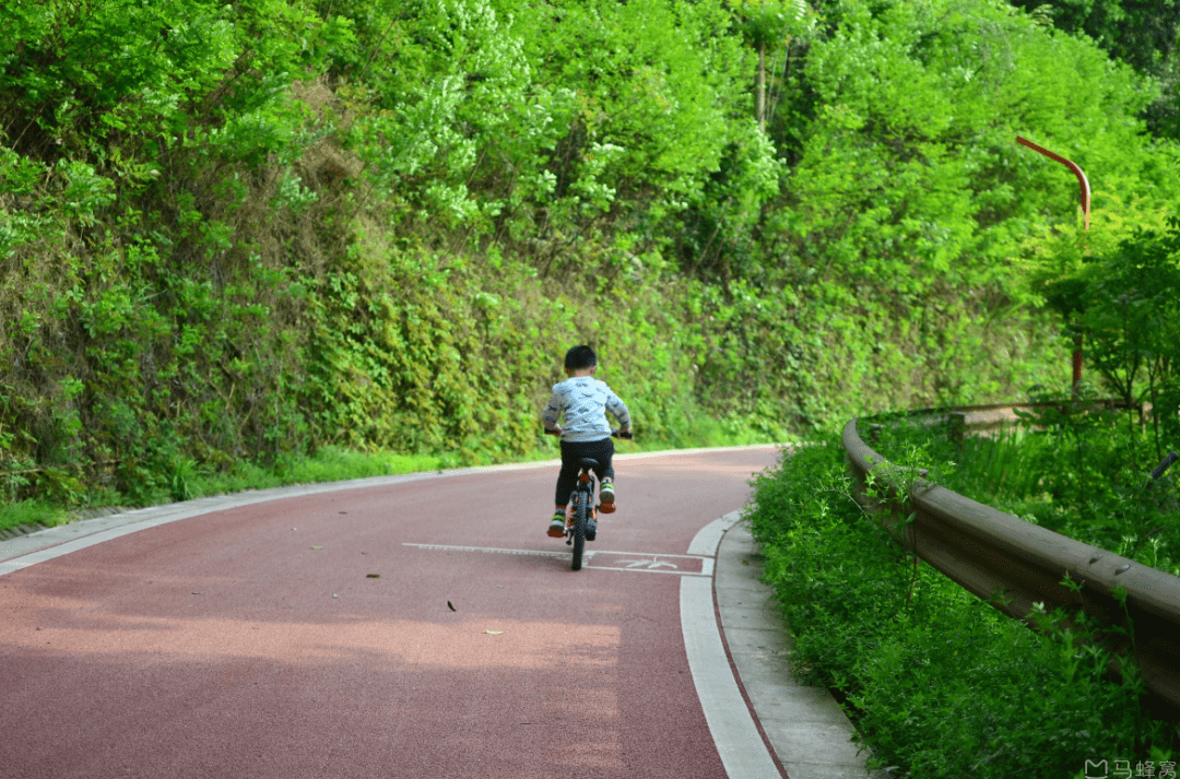 碧桃|「春日可赏花的市区免费营地」. rar