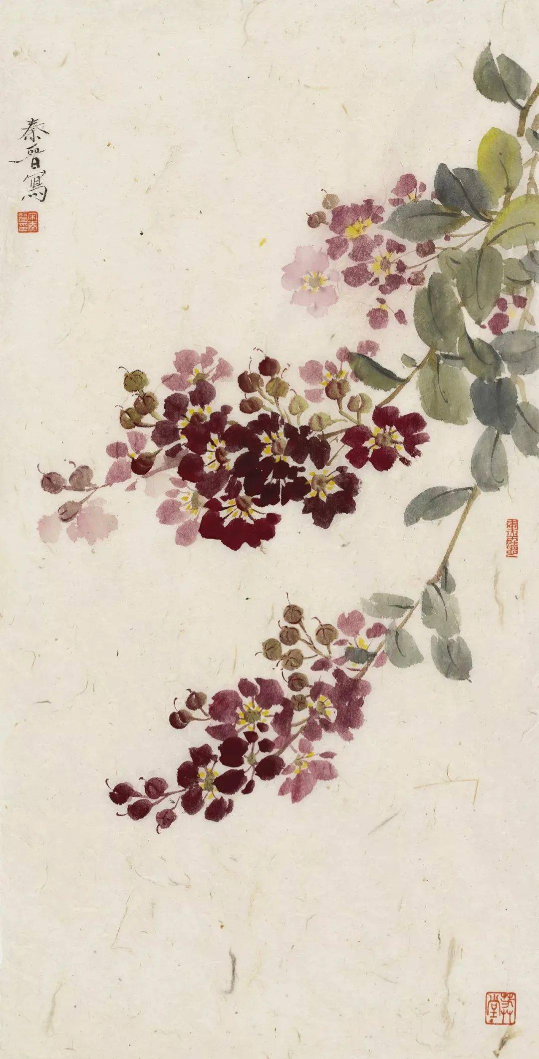 宋秦晋的没骨画花卉99幅清雅恬静如梦境般虚幻