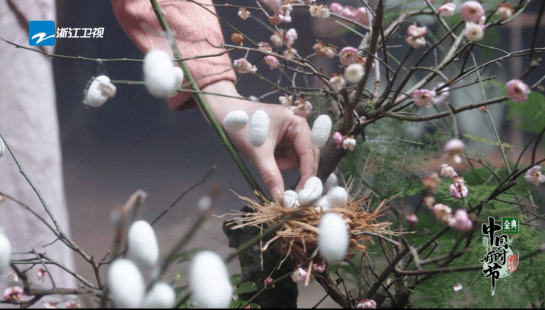 传统|以古喻今，实景拍摄，浙江卫视《中国好时节》讲述二十四节气里的文化自信