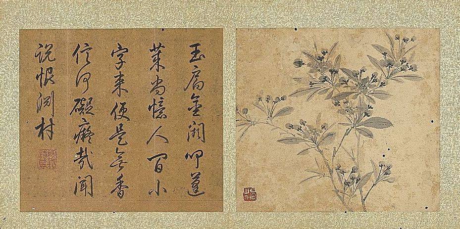 画法|故宫花信｜海棠：只恐夜深花睡去，故烧高烛照红妆