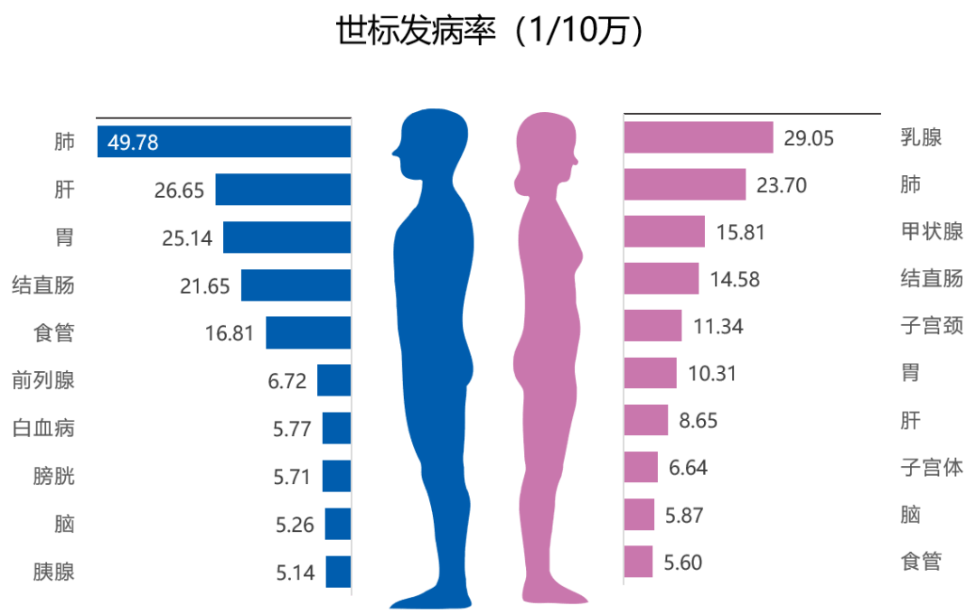 差異男性高於女性:0~19歲,60歲以上女性高於男性:15~59歲峰值:男女