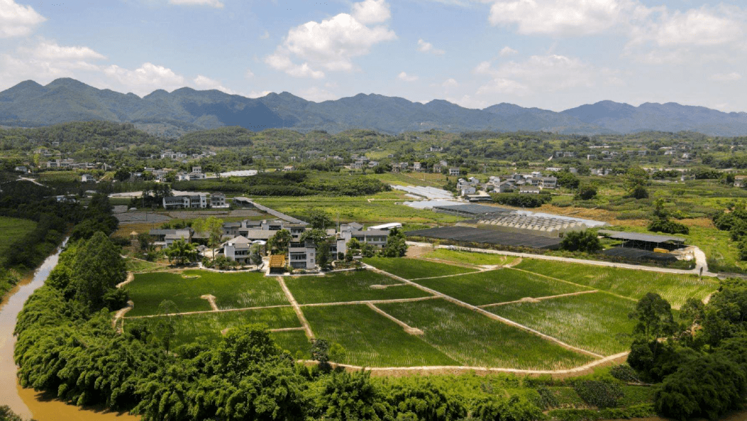 璧山区网站建设_(璧山区网站建设项目招标)